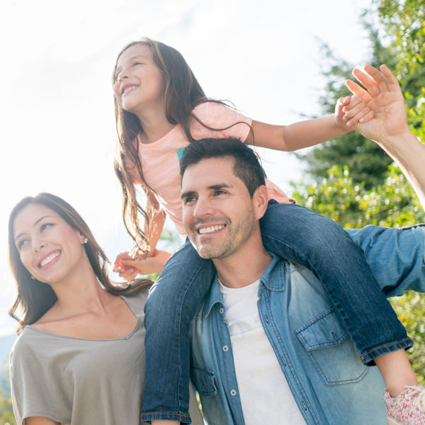 Picture of MCLE Complete - Family Law 2020 - 2021