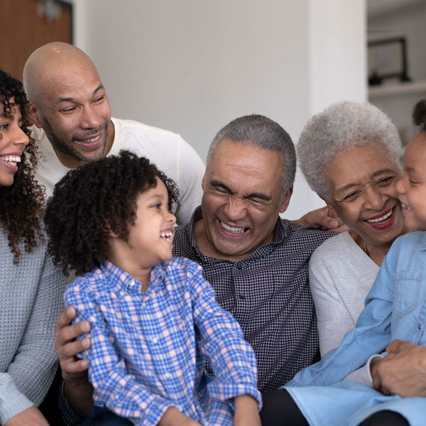 Picture of Advising Elderly Clients and Their Families 2020 Edition