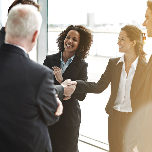 Picture of Business Law: Mergers and Acquisitions 2020 Edition