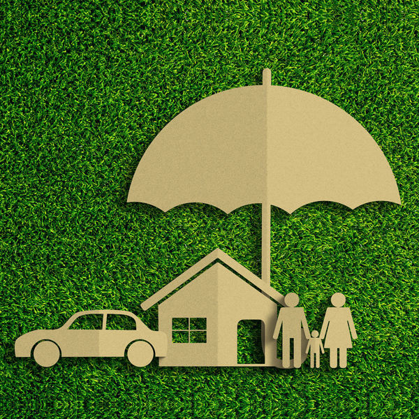 Picture of Insurance Law 2020 Edition