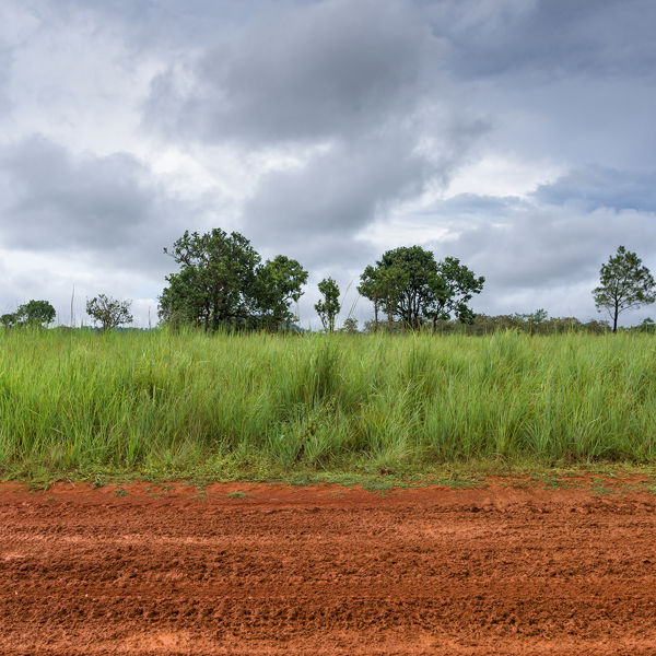 Picture of Modern Land Trust Practice 2020 Edition