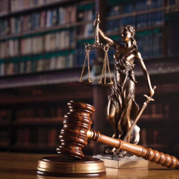 Picture of Causes of Action: Common Considerations 2020 Edition