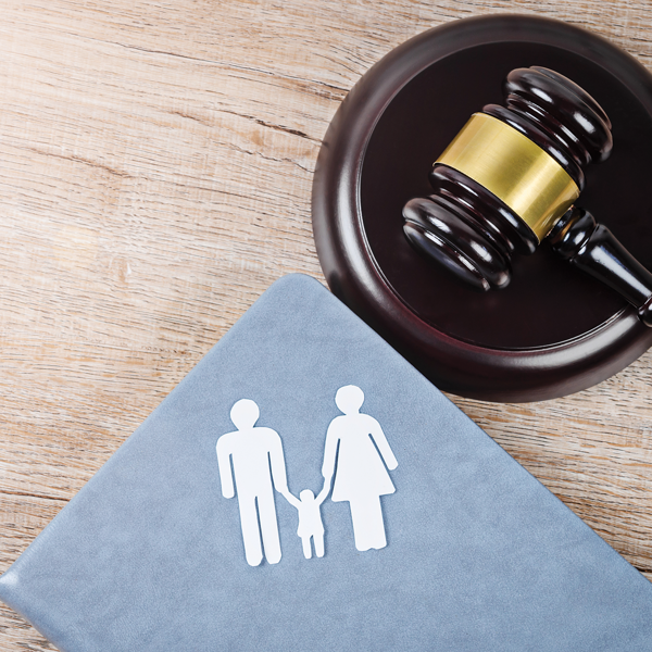 Picture of Adoption Law 2020 Edition