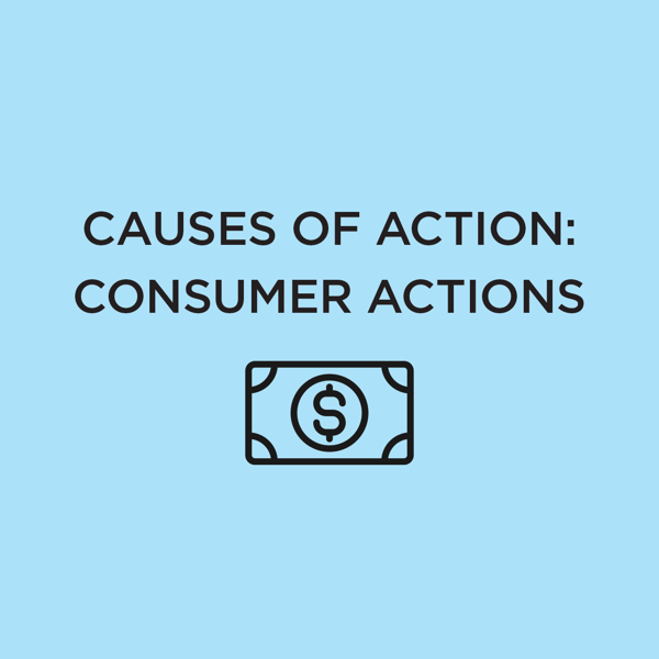 Picture of Causes of Action: Consumer Actions 2020 Edition