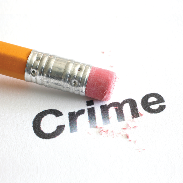 Criminal Records: Expungement and Other Relief 2021 Edition ...