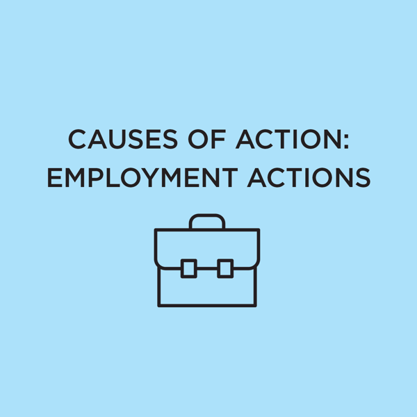 Picture of Causes of Action: Employment Actions 2021 Edition