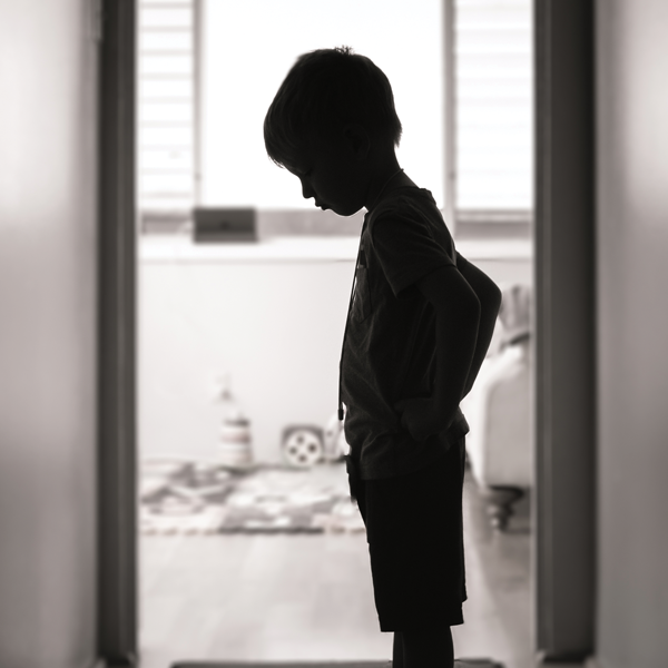 Picture of Child Welfare Law: Neglected, Abused, and Dependent Minors 2021 Edition