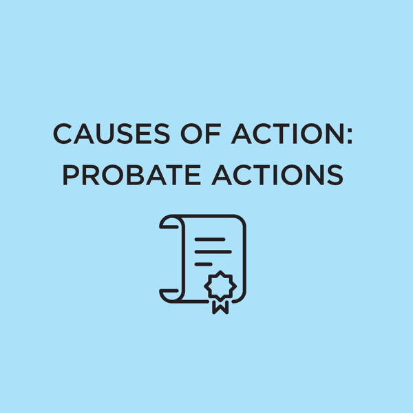 Picture of Causes of Action: Probate Actions 2021 Edition
