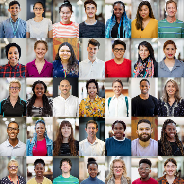 Picture of Diversity Initiatives in Illinois Courts