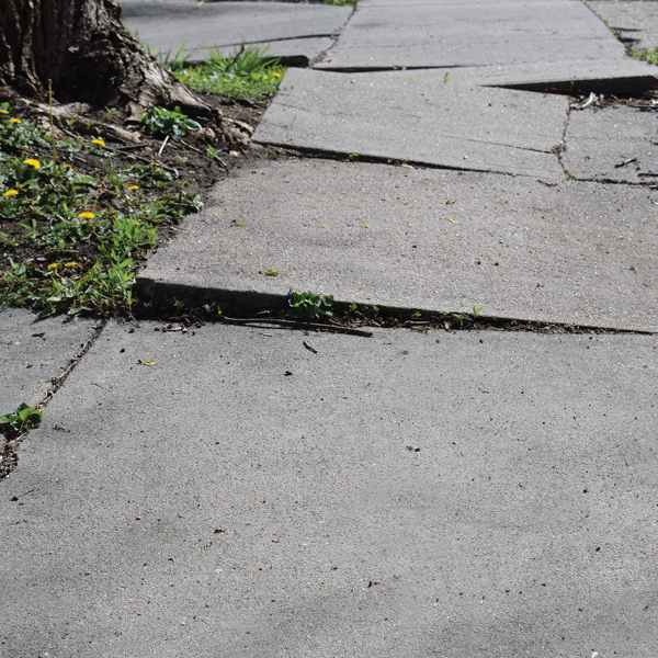 Picture of Premises Liability 2021 Edition