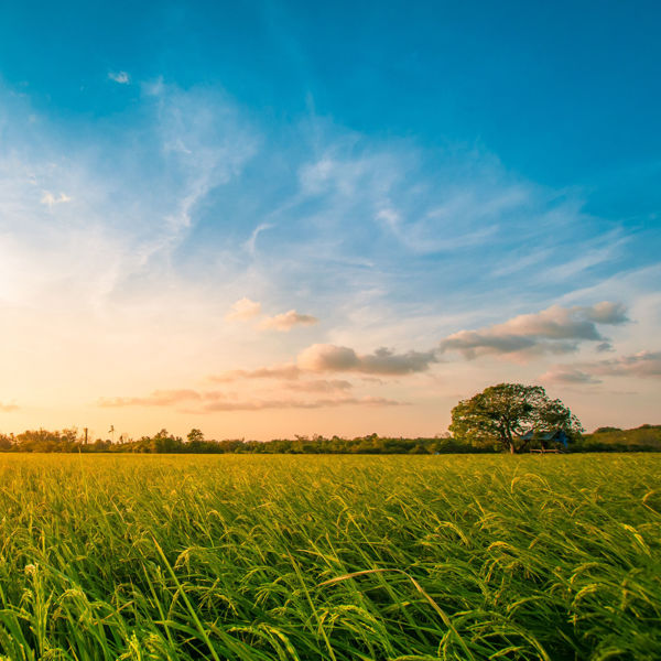Picture of New Biden Priorities for the Clean Water Act: What Does it Mean for Illinois?