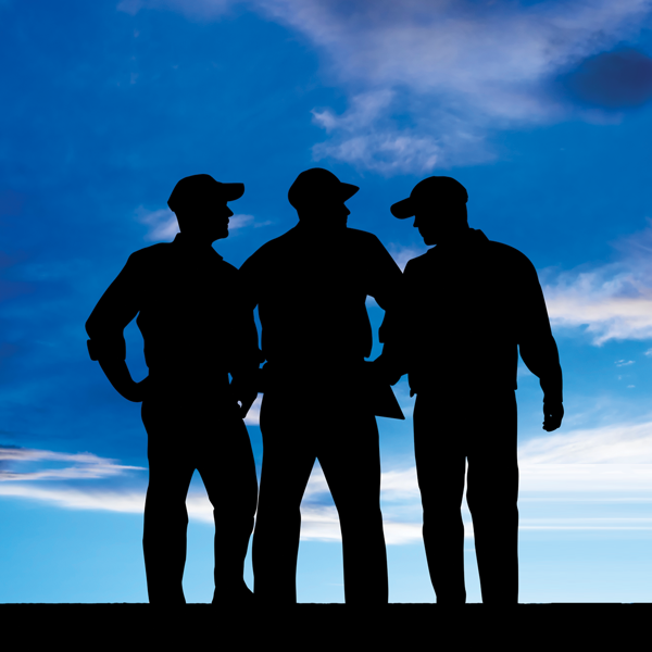 Picture of Labor Law: Representation and Collective-Bargaining Matters 2021 Edition