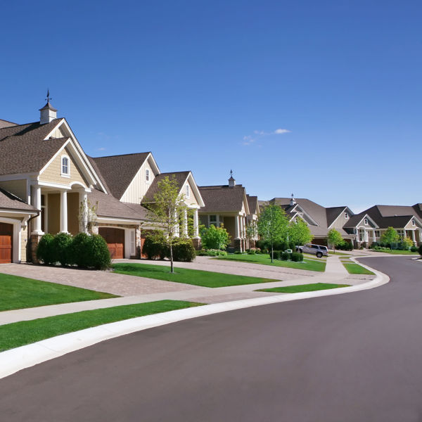 Picture of The Law of the Neighborhood