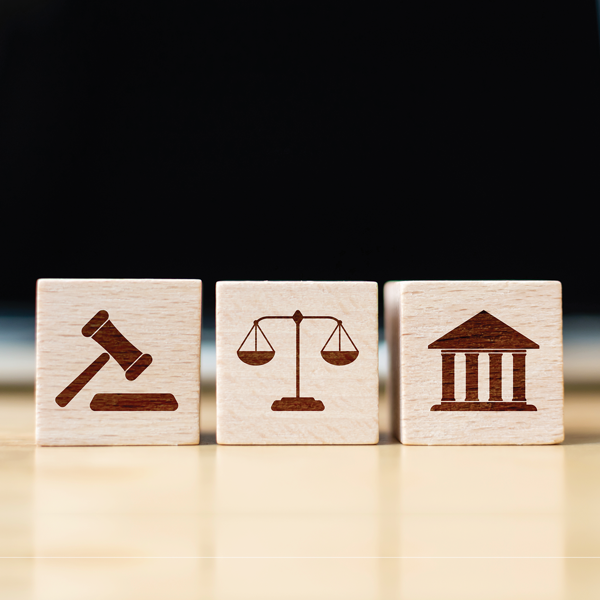 Picture of Laying Foundations for Introducing Evidence 2022 Edition