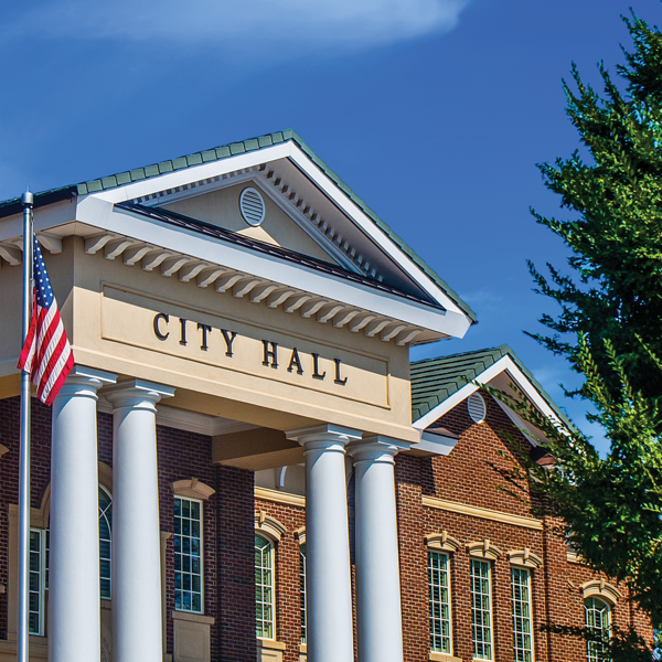 Picture of Municipal Law: Financing, Tax, and Municipal Property 2022 Edition