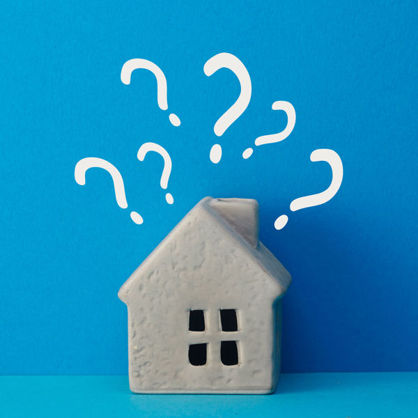 Picture of Real Estate Disclosure Statute