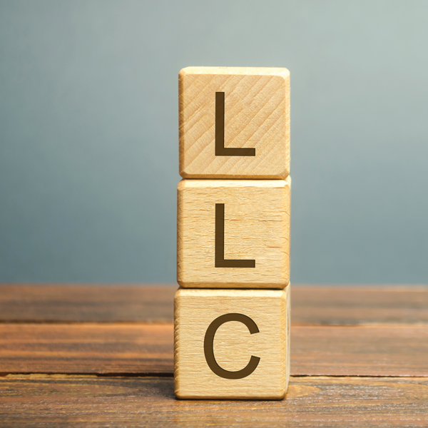 The LLC (Limited Liability Company) Handbook