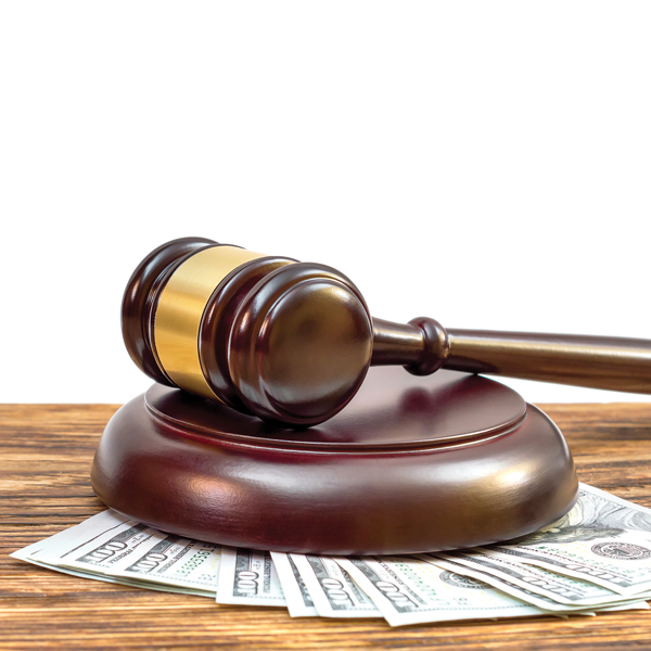 Picture of Collection Litigation: Representing the Creditor 2022 Edition