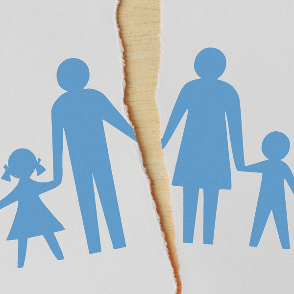 Picture of Family Law: Child-Related Issues in Dissolution Actions 2022 Edition