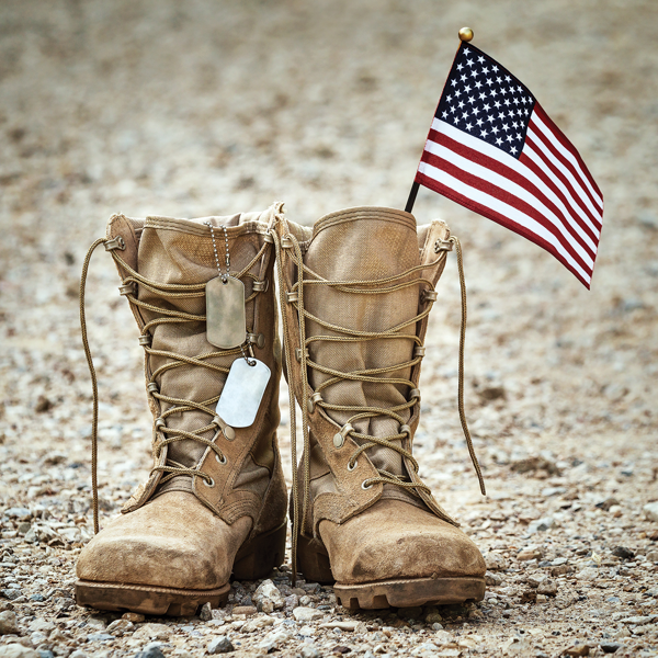 Picture of Military Service and the Law 2022 Edition