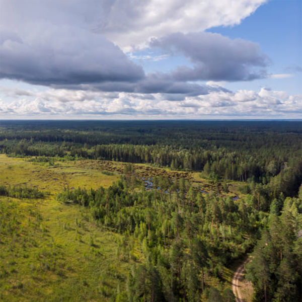 Picture of Hot Topics in Land Use from a Planning Perspective
