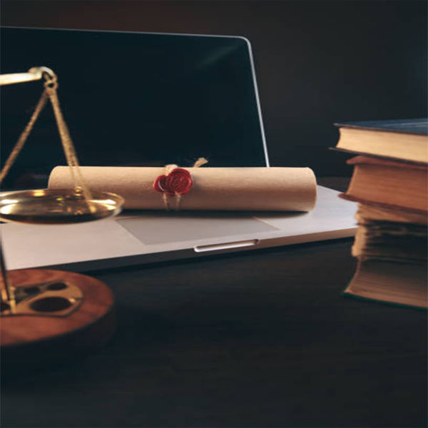 Picture of New Normal in the Probate Division: Recent Developments & Lessons Learned-Litigating Disputed Estates and Trusts
