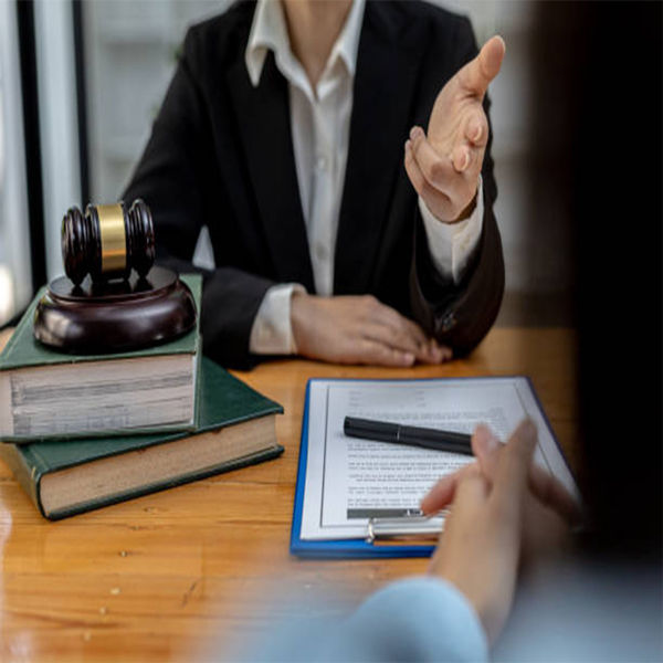 Picture of Representing Clients with Diminished Capacity-Litigating Disputed Estates and Trusts