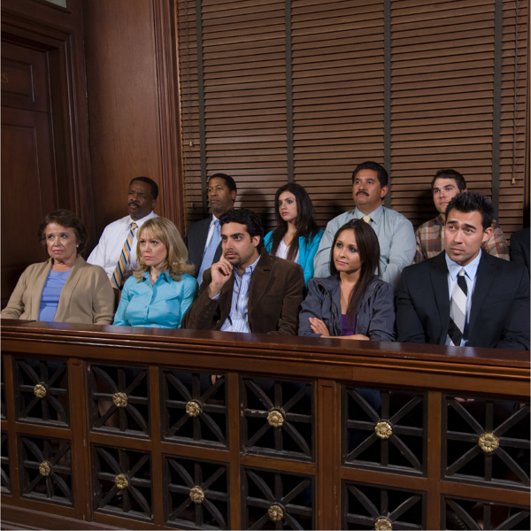Picture of Inside and Outside the Jury Box: Effective Trial Strategies 2023 Edition