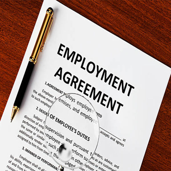 Picture of Employment Agreements for Business Lawyers