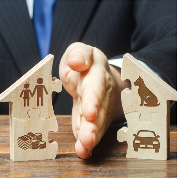 Picture of Family Law: Property and Financial Aspects of Dissolution Actions 2023 Edition