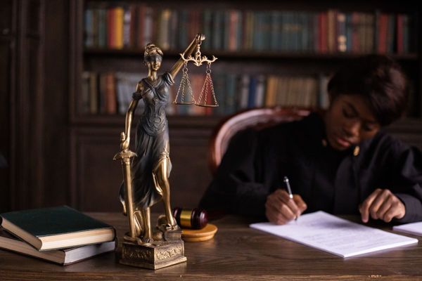 Picture of Illinois Law: Case Decisions & Trends  (Estate Planning) 2022
