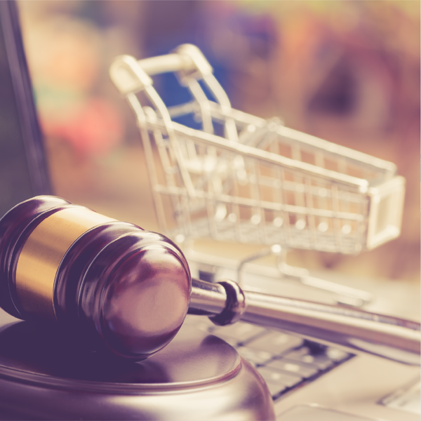 Picture of Consumer Protection Law 2023 Edition