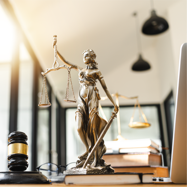 Picture of Municipal Law: Organization, Operation, and Governance 2023 Edition