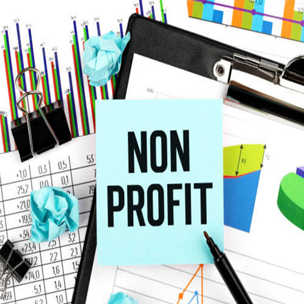 Picture of Nonprofit Law Series