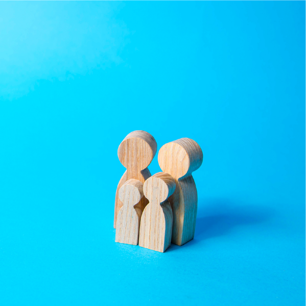 Picture of Family Law: Preliminary Considerations in Dissolution Actions 2023 Edition