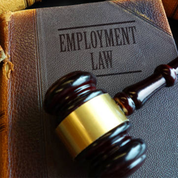 Picture of Caselaw Update - Employment Law 2023