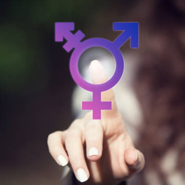 Picture of Demystifying the Transgender Laws (DCBA)