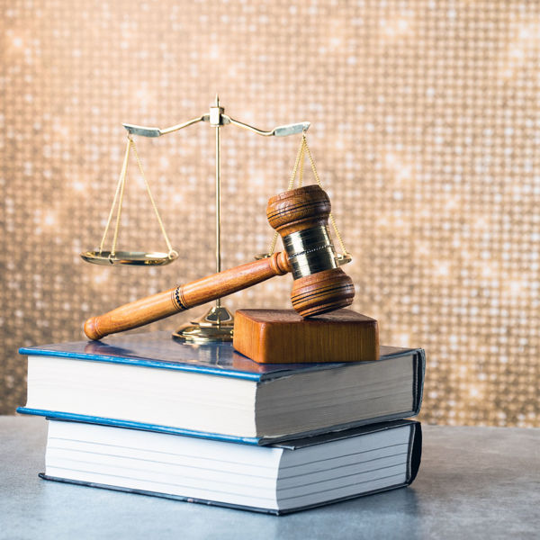 Picture of Wrongful-Death vs. Survivorship Settlements in Guardianships