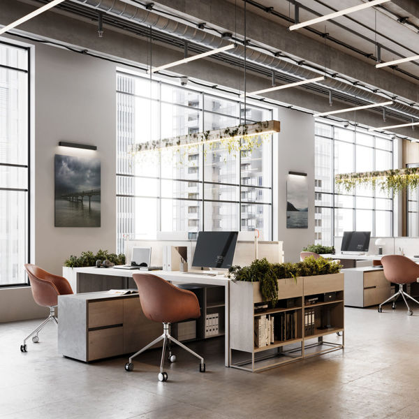 Picture of Nonprofit Real Estate – Special Aspects Including Ownership, Transfer, Property Tax Exemption, and Third-Party Facility Usage