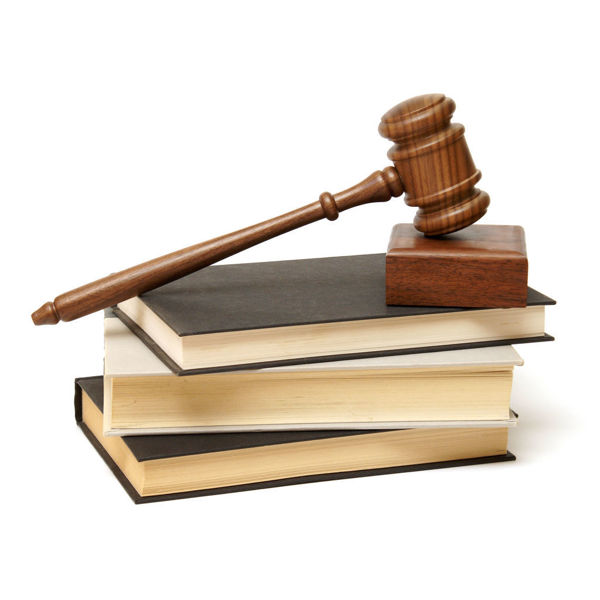Picture of Illinois Elder Law Case Law and Legislative Update 2022