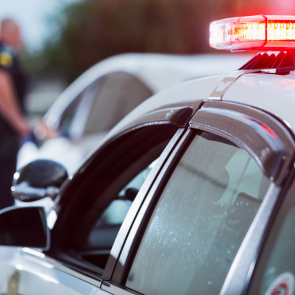 Picture of Motor Vehicle Violations 2024 Edition
