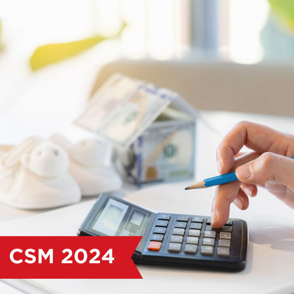 Picture of Issues in Income Support 2024—Wasn’t This Settled?