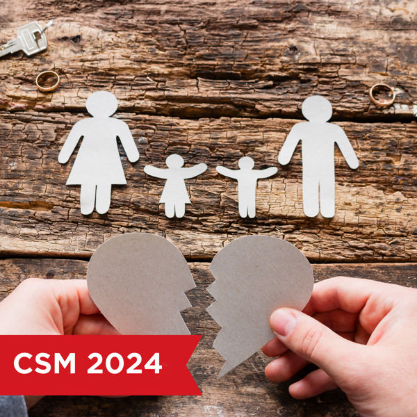 Picture of Child Support and Maintenance Enforcement QDROs 2024: Working Smarter, Not Harder