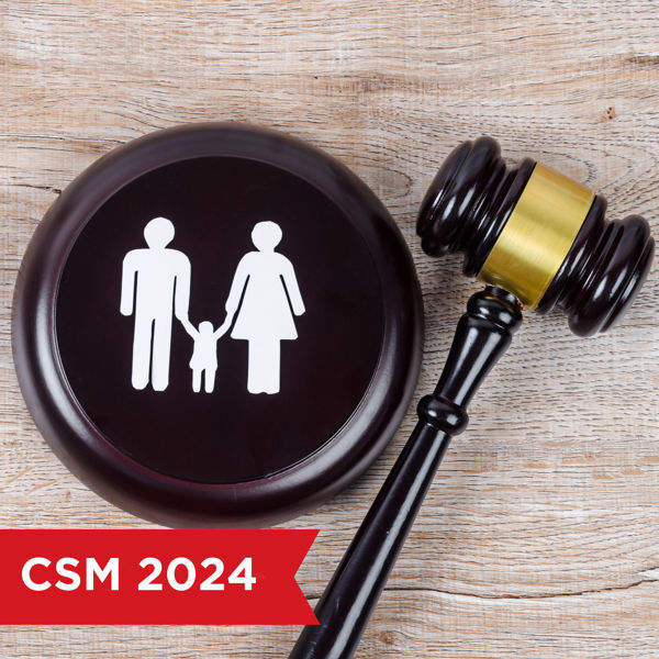 Picture of Child Support & Maintenance Caselaw and Legislative Update 2024: All the News You Need to Know