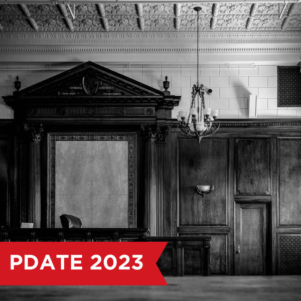 Picture of Death is Not the End. There Remains Litigation Over the Estate: Post-Death Claims and  Contested Matters - Is This the Afterlife?
