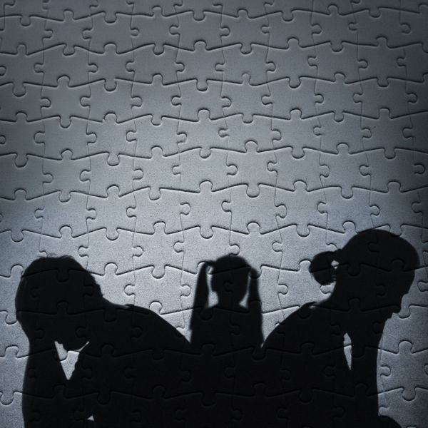 Picture of The Divorcing Brain: The Interdependence of Emotions, Behavior, and Cognition