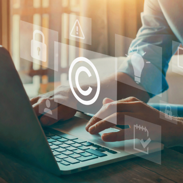Picture of Intellectual Property Law 2025 Edition