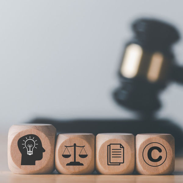 Picture of Advising Clients on Protecting Intellectual Property
