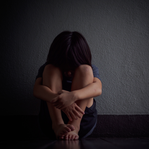 Picture of Child Welfare Law: Neglected, Abused, and Dependent Minors 2024 Edition