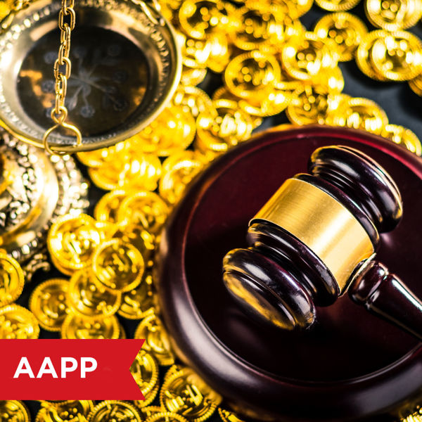 Picture of Introduction to Asset Protection and Domestic Asset Protection Trusts